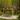 12' x 14' Cedar Falls Wood Hardtop Pavilion Style Gazebo